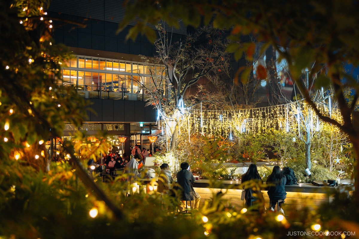 Illuminated wooden terrace