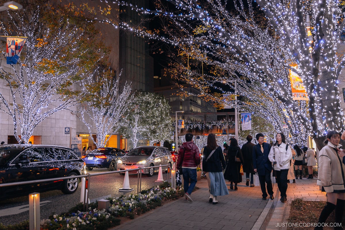 Street lined with trees illuminated in white LEDs