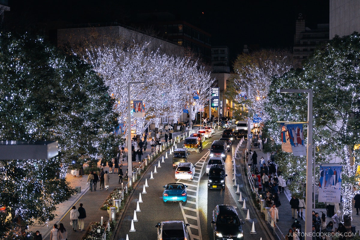 Overlooking a road lined with illuminated trees