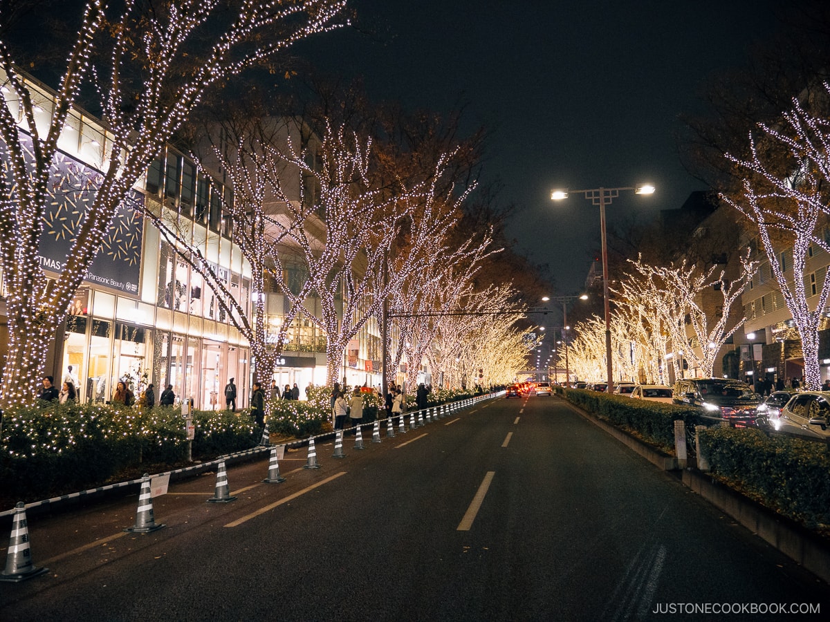 Street lined with illuminated trees