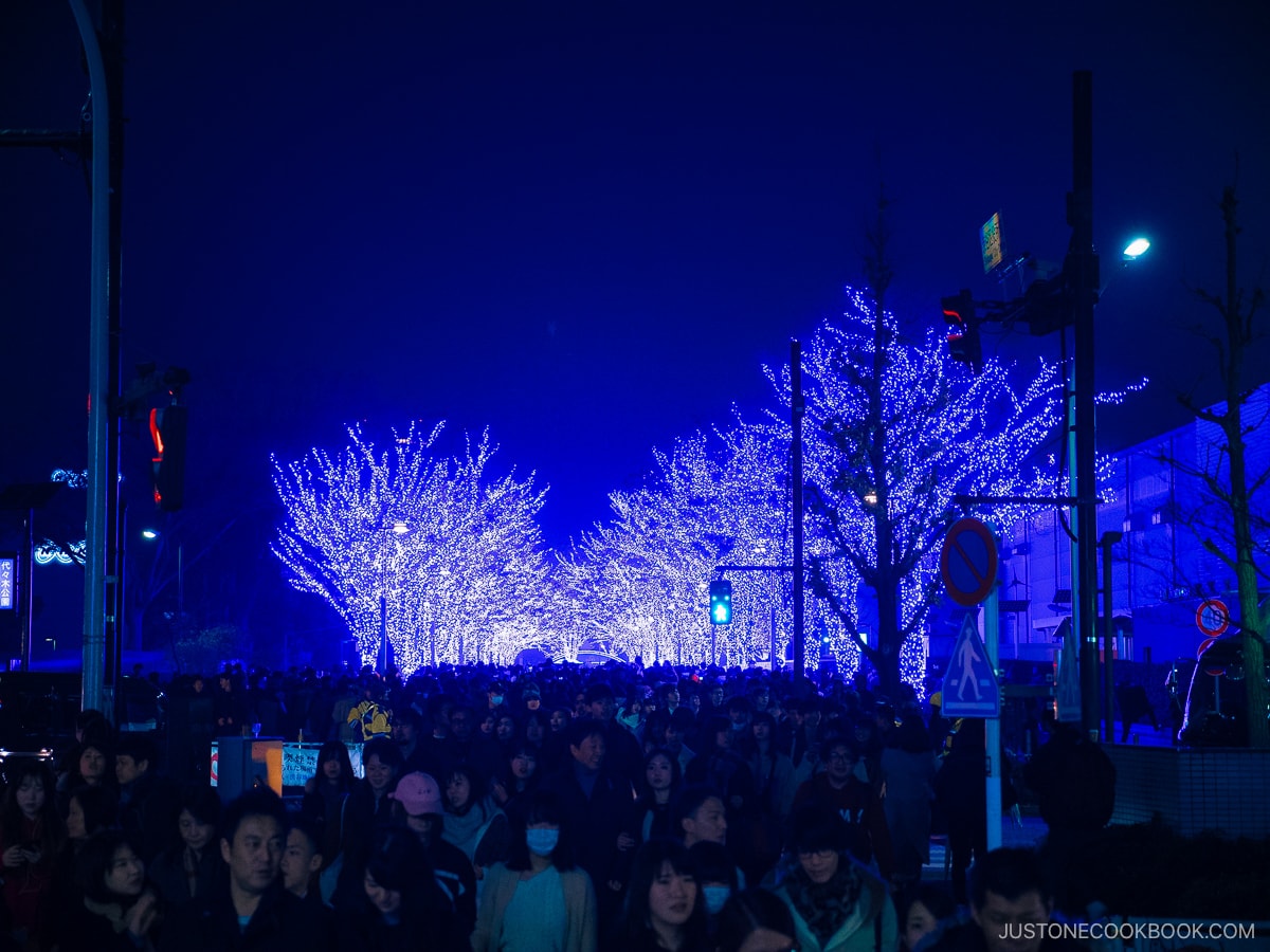 Street lined with blue illuminated trees
