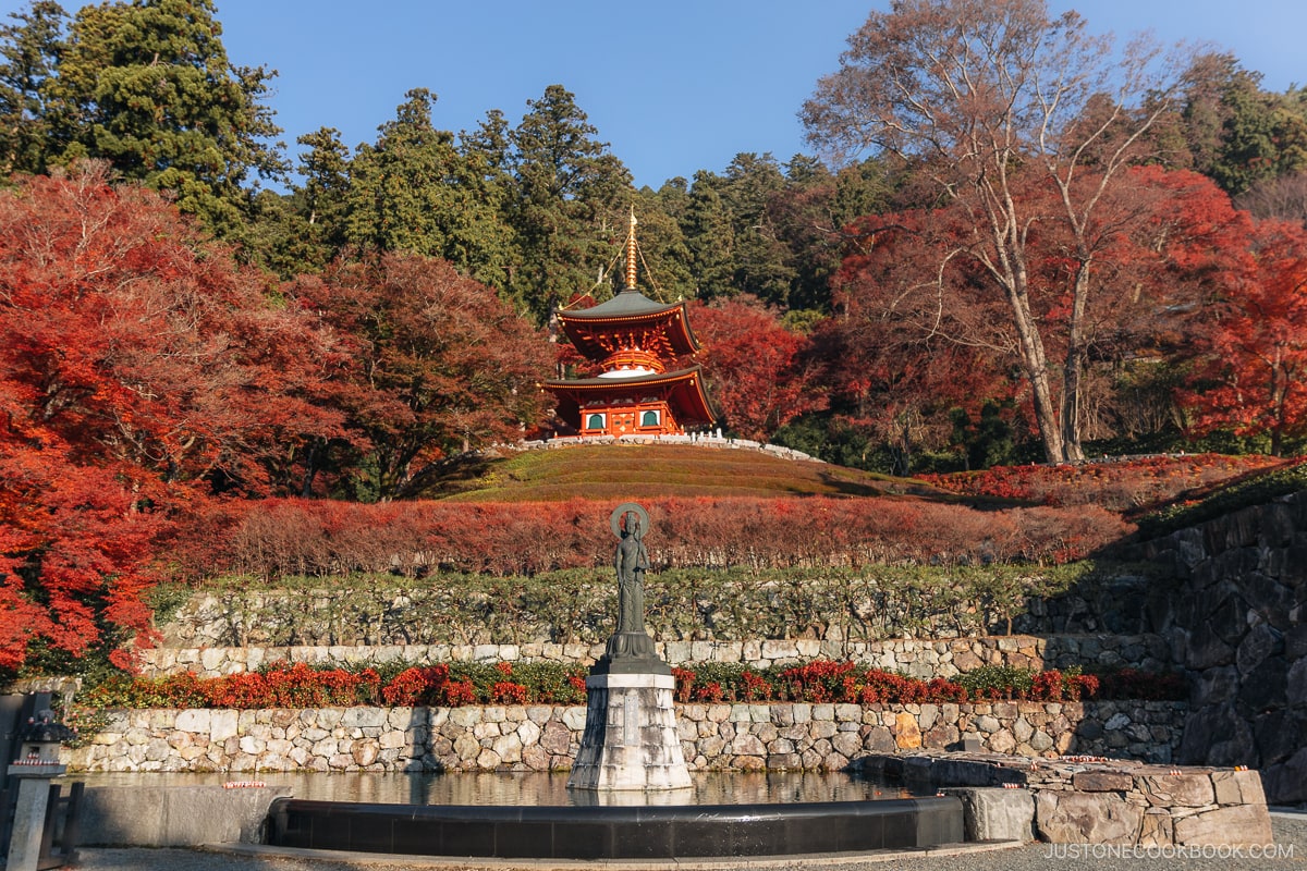 Pagoda on top of a hill surrounded by red maple trees and fountain at the bottom.