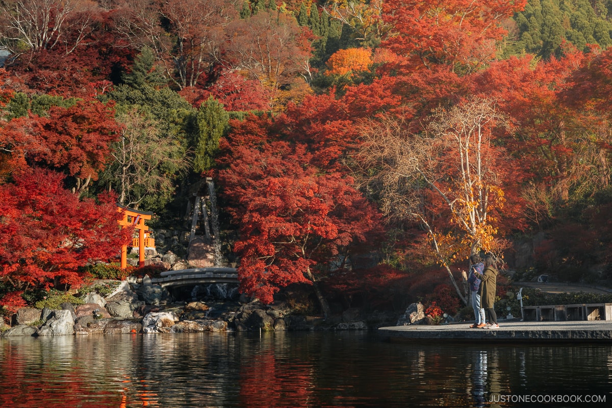 Two people standing next to a pond with autumn leaves in the background