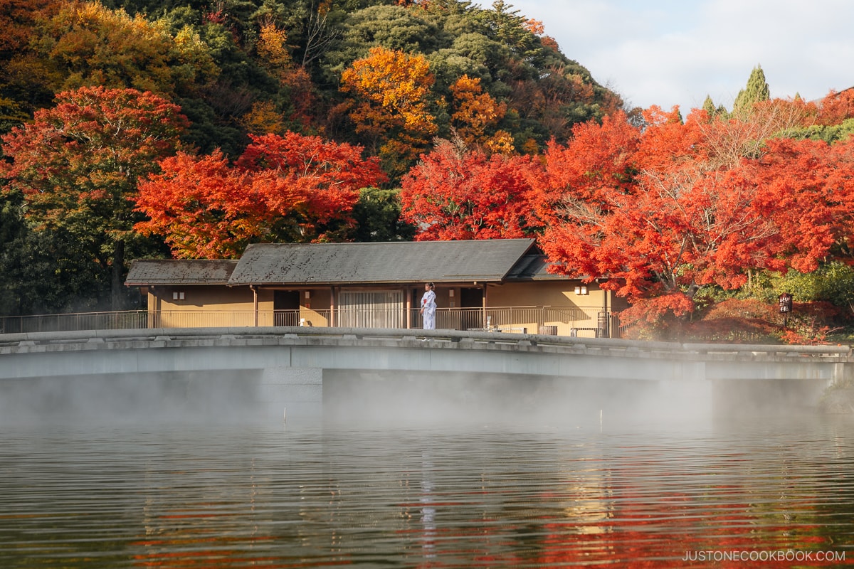 Woman dressed in a kimono standing on a bridge with fog rolling voer