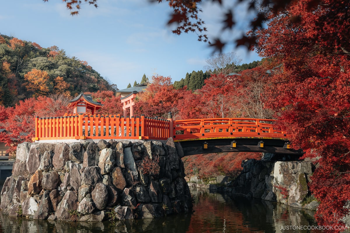 Island shrine surrounded by red autumn leaves