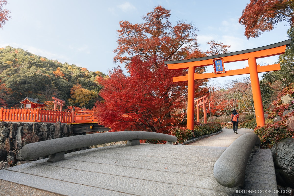 Bridge leading to a red torii gate