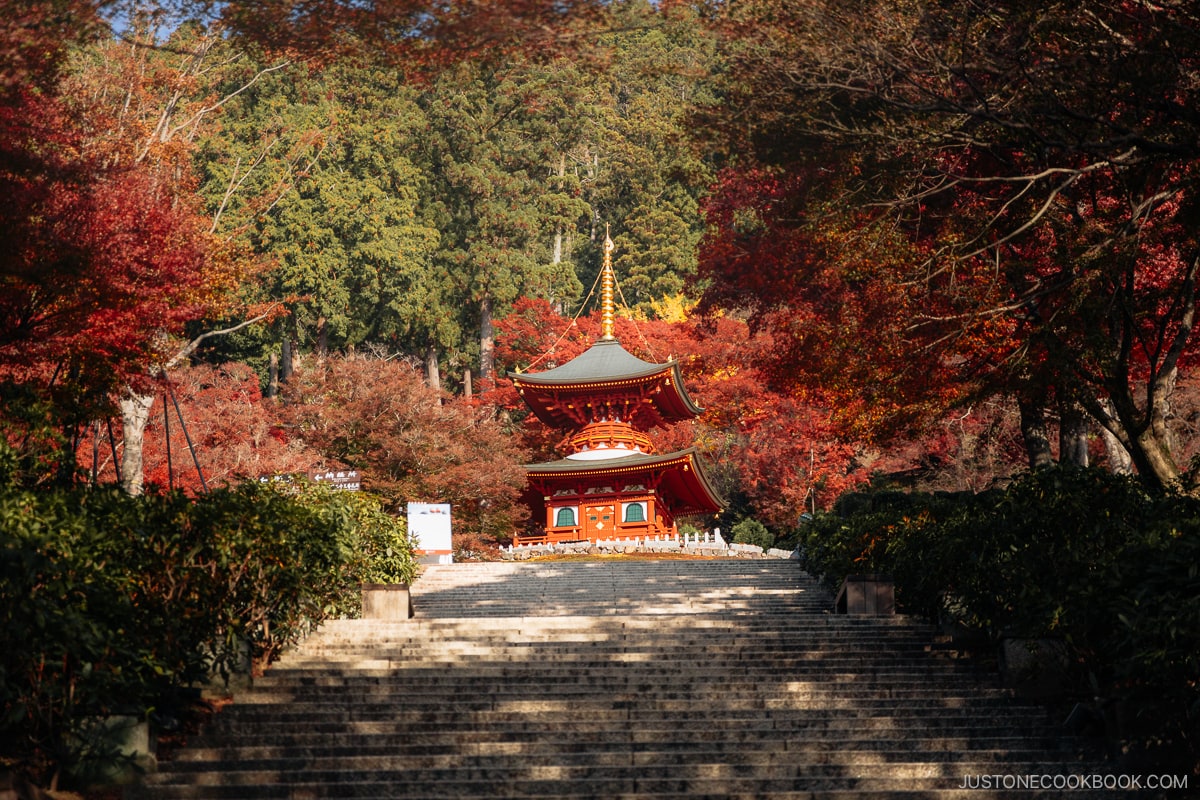 Stone stairwell leading to a two storied red pagoda