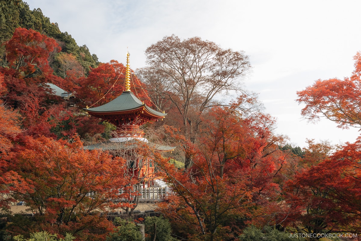 Two storied red pagoda surrounded by red maple trees