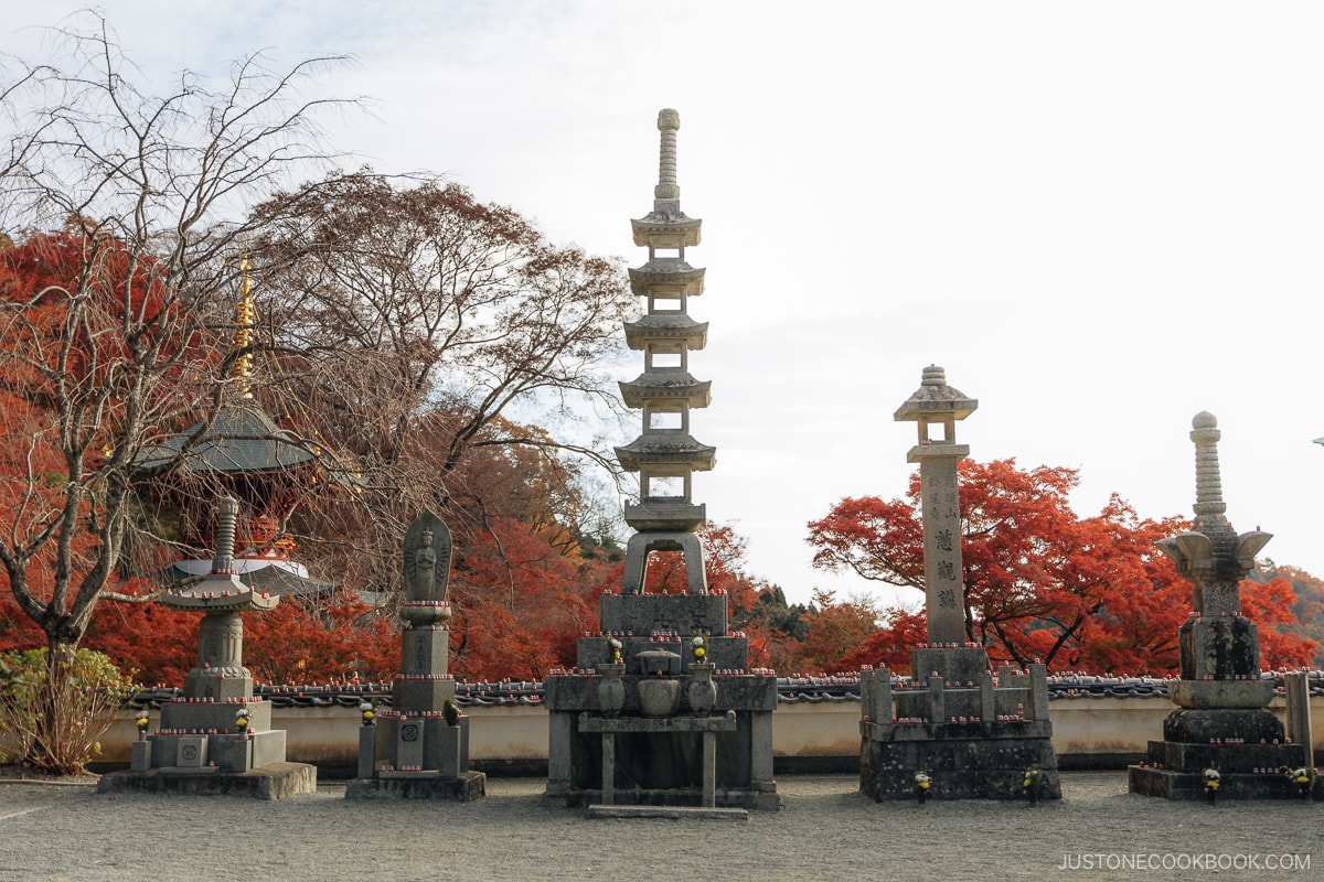 Stone statues with small red daruma dolls and autumn leaves in the background