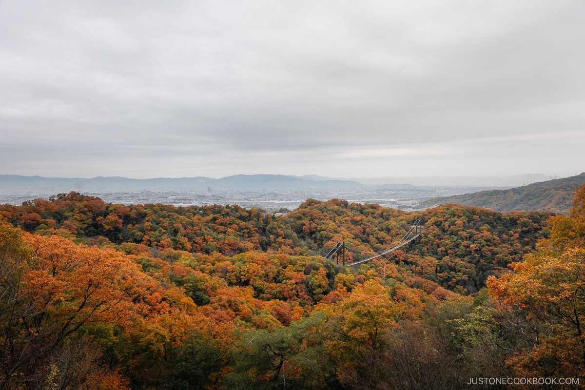 Bridge running through the mountains covered in yellow and orange autumn leaves