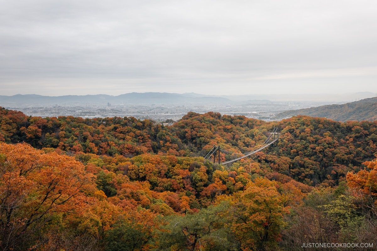 Bridge running through the mountains covered in yellow and orange autumn leaves