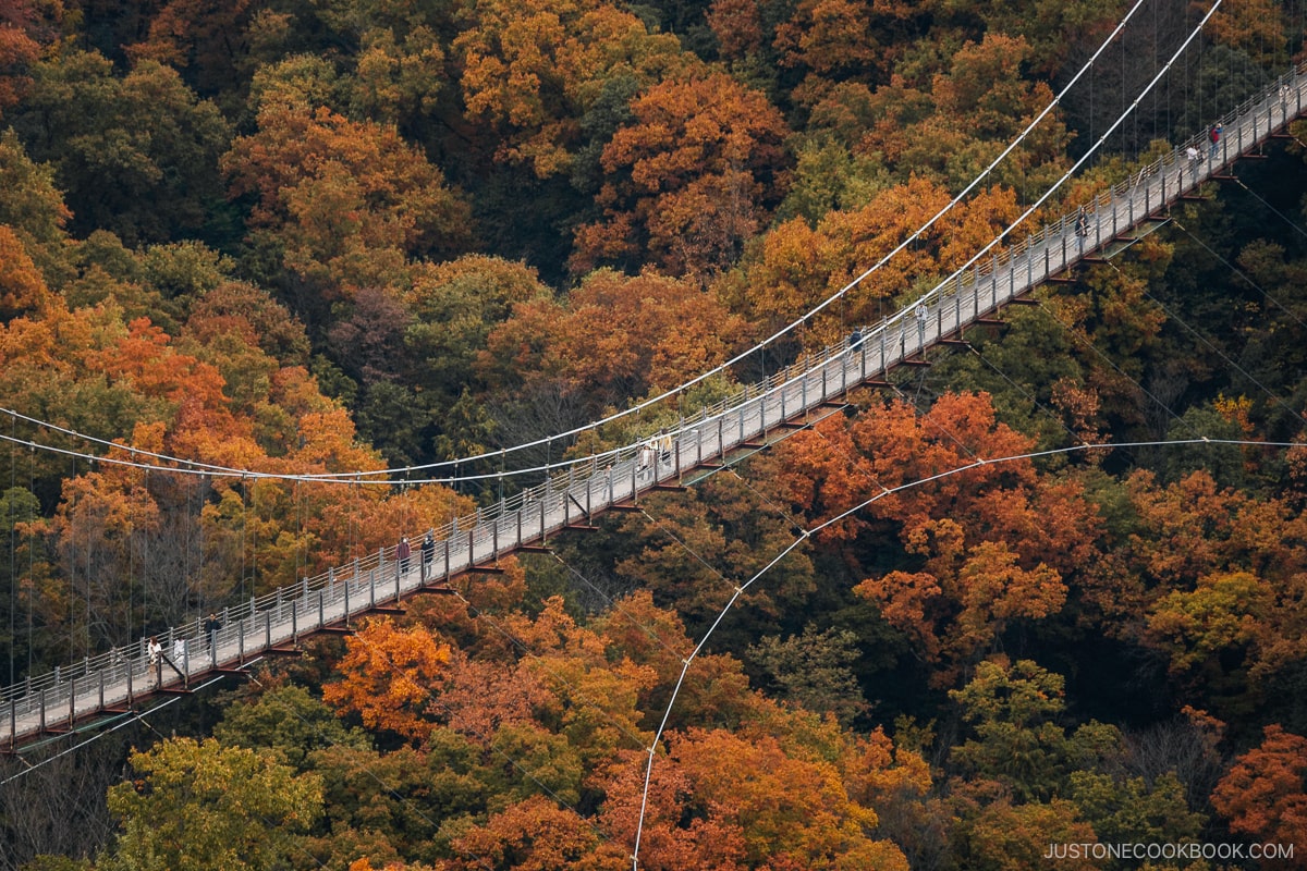 Bridge running through the mountains covered in yellow and orange autumn leaves