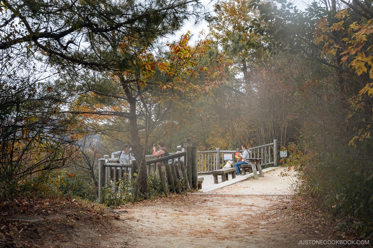 Wooden terrace with people sitting on the benches