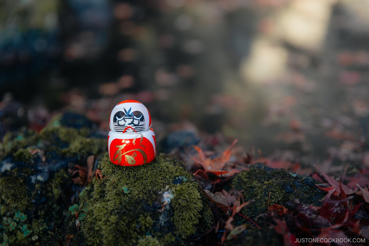 Small red Daruma doll on. mossy rock surrounded by fallen red maple leaves