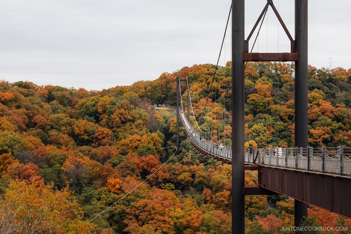 Bridge running through the mountains covered in yellow and orange autumn leaves