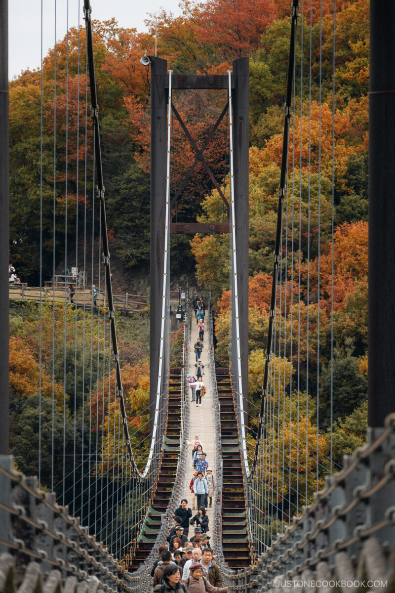 Looking down a bridge pathway