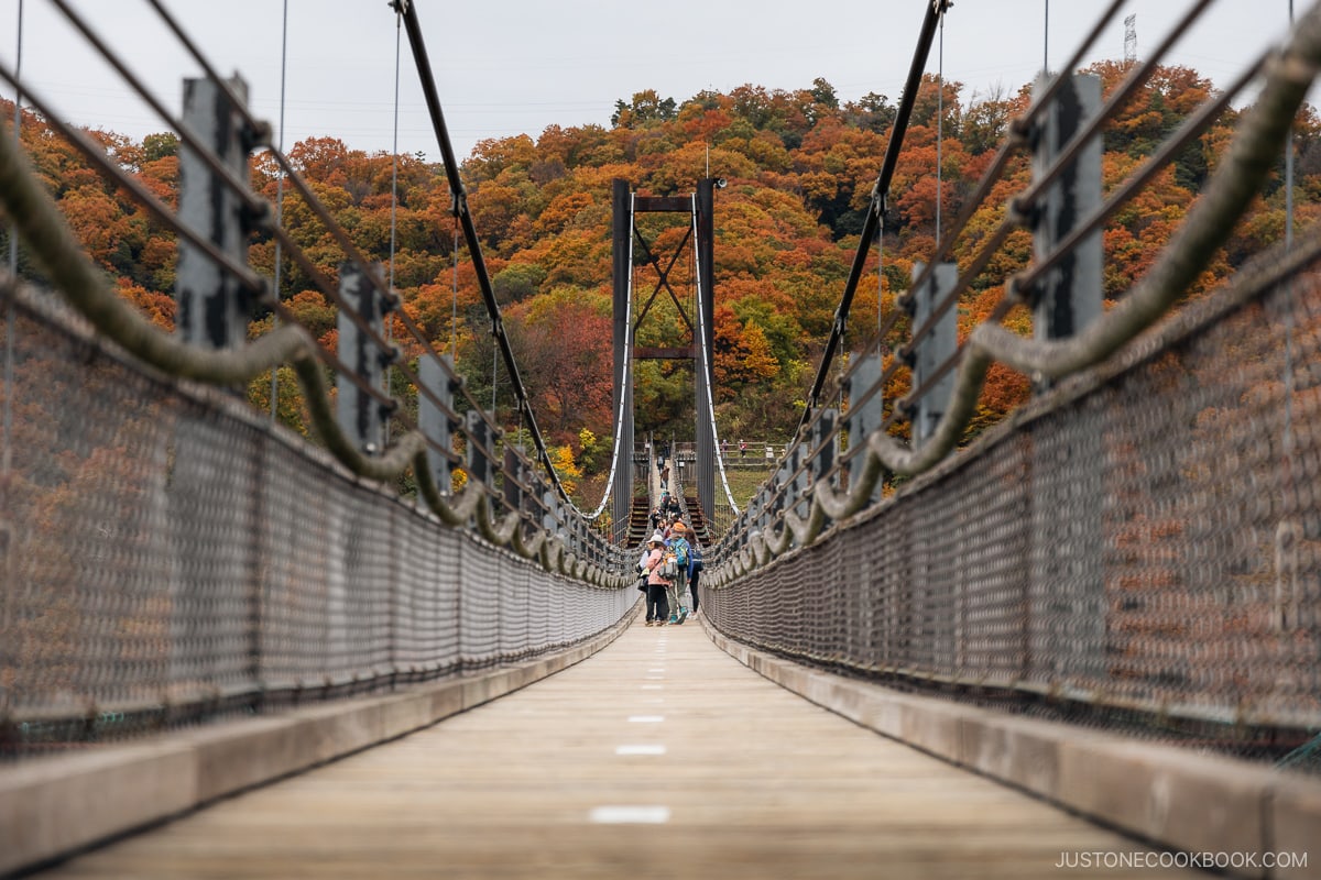 Looking down a bridge pathway