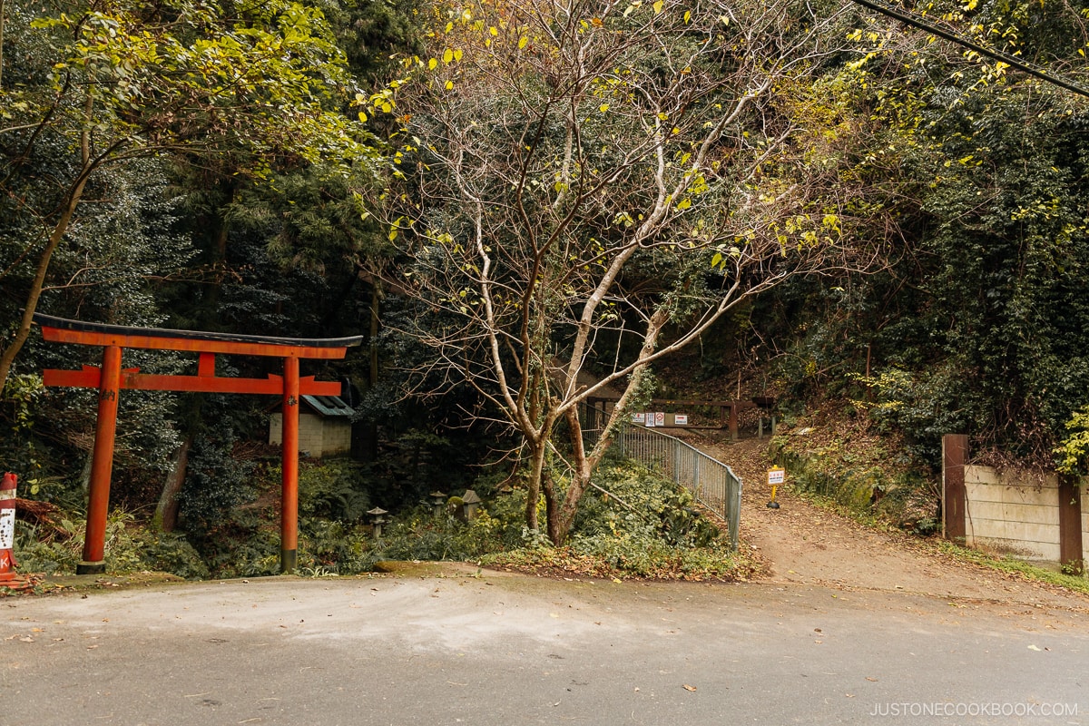 Red torii gate and pathway leading up a hill