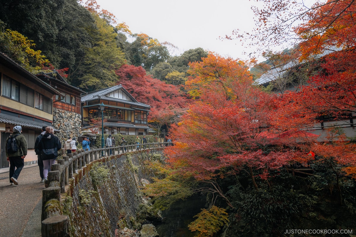 Curved pathway surrounded by autumn leaves and shops