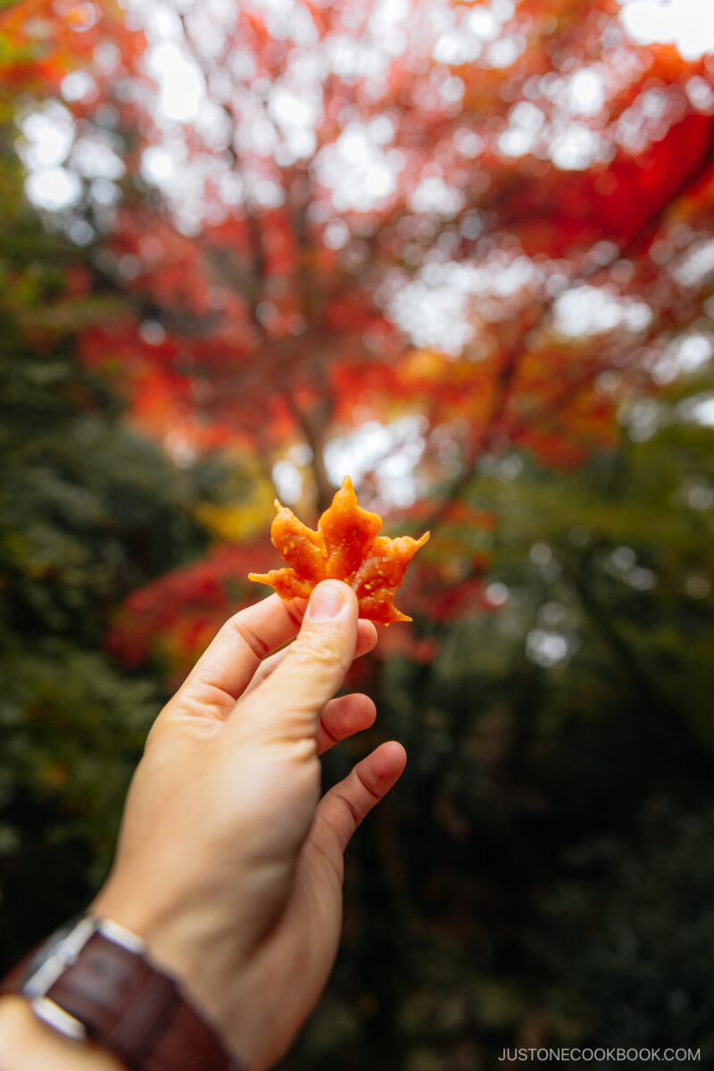 Maple leaf tempura snack