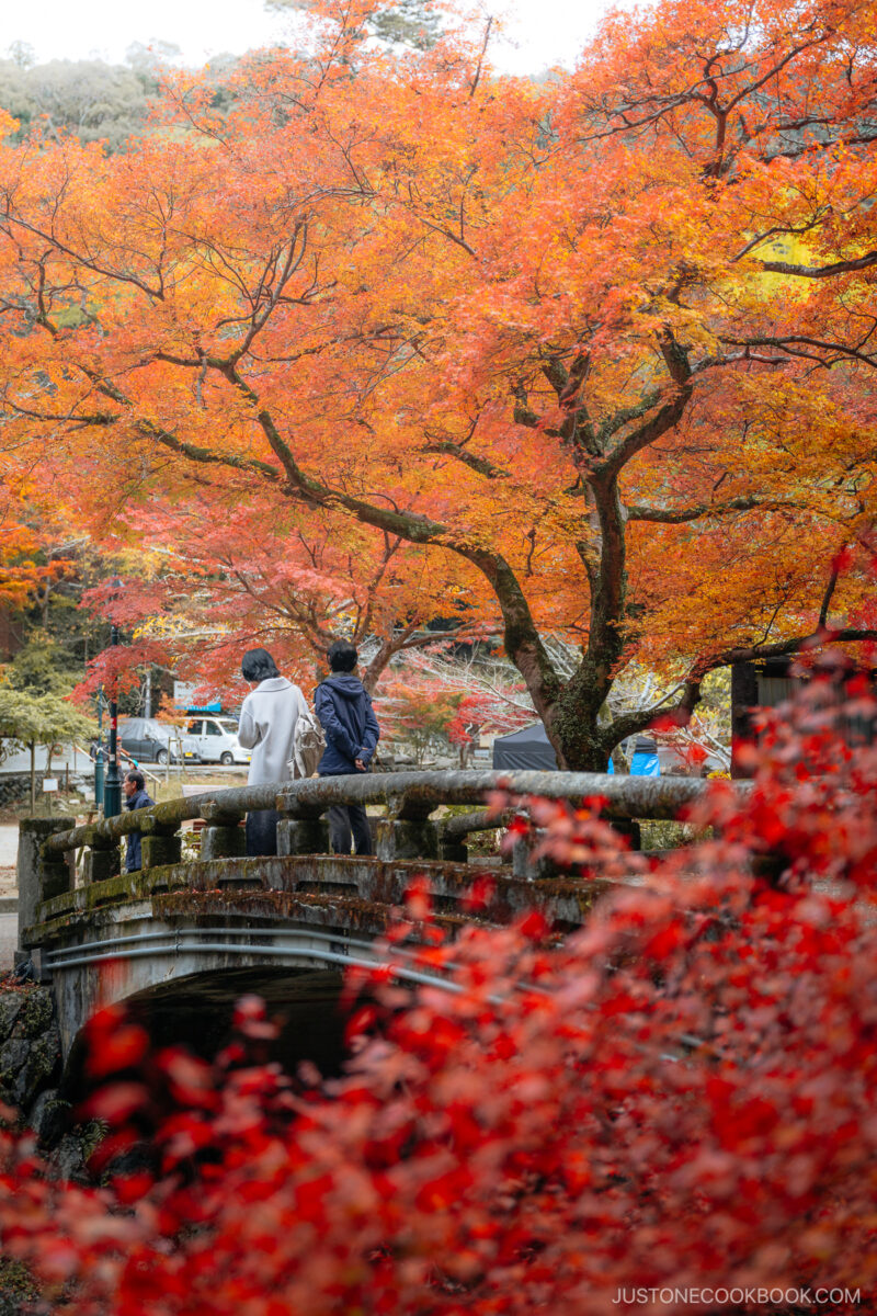 Stone bridge surrounded by orange and red autumn leaves