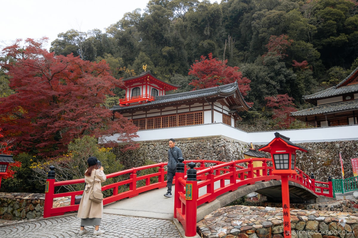 ravine with a red bridge