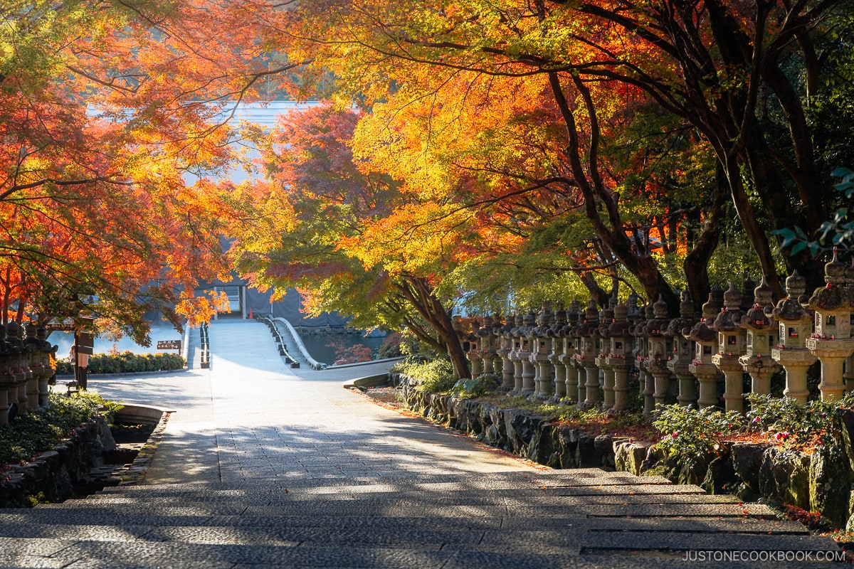 A path lined with stone lanterns and autumn leaves