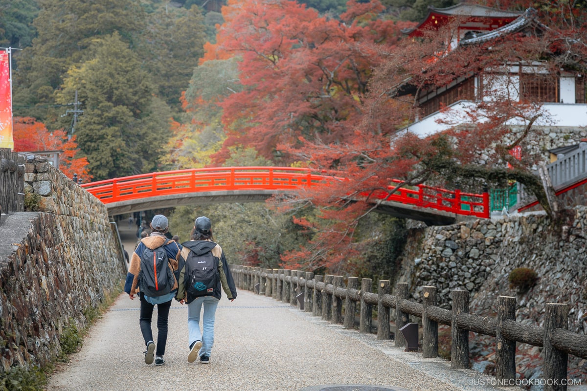 People walking along the ravine