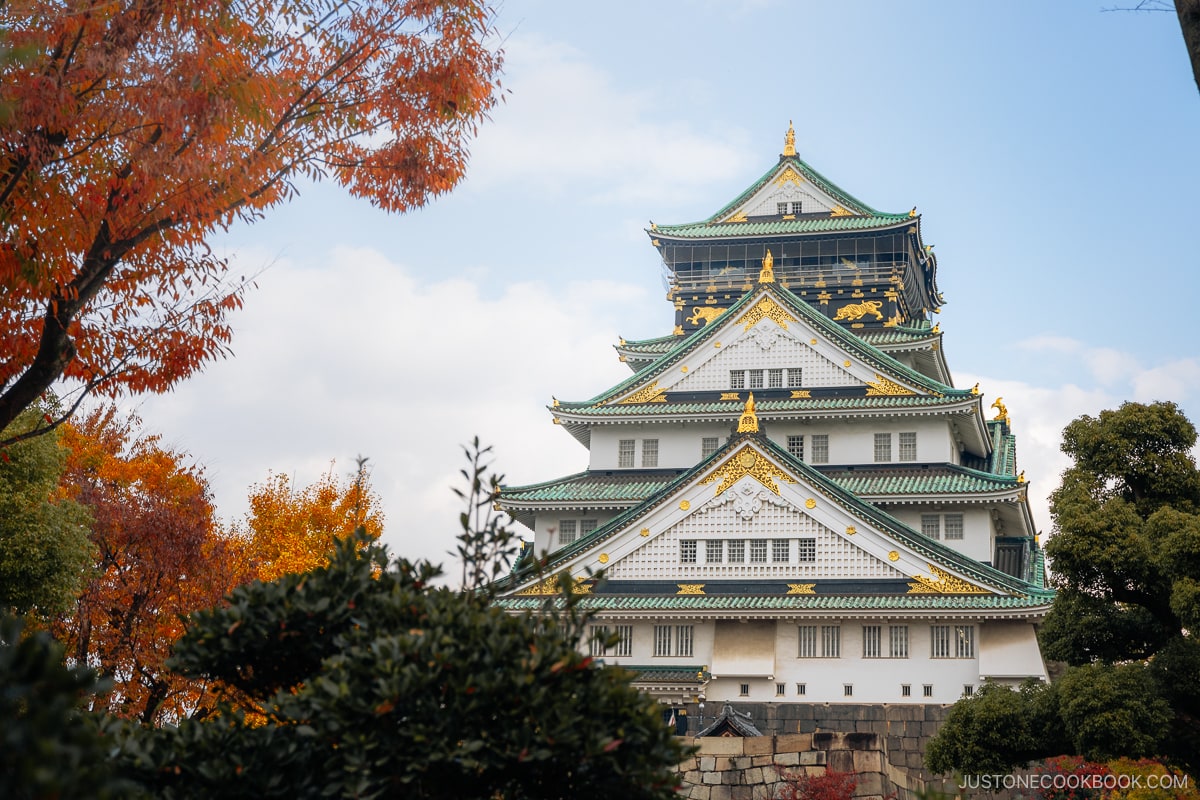 Osaka Castle with autumn leaves on the left