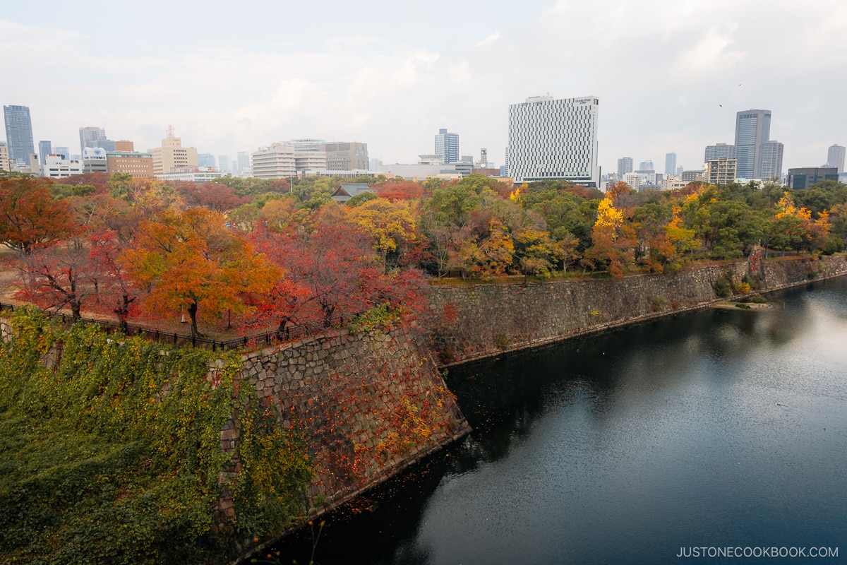 Autumn leaves with a castle moat at the bottom