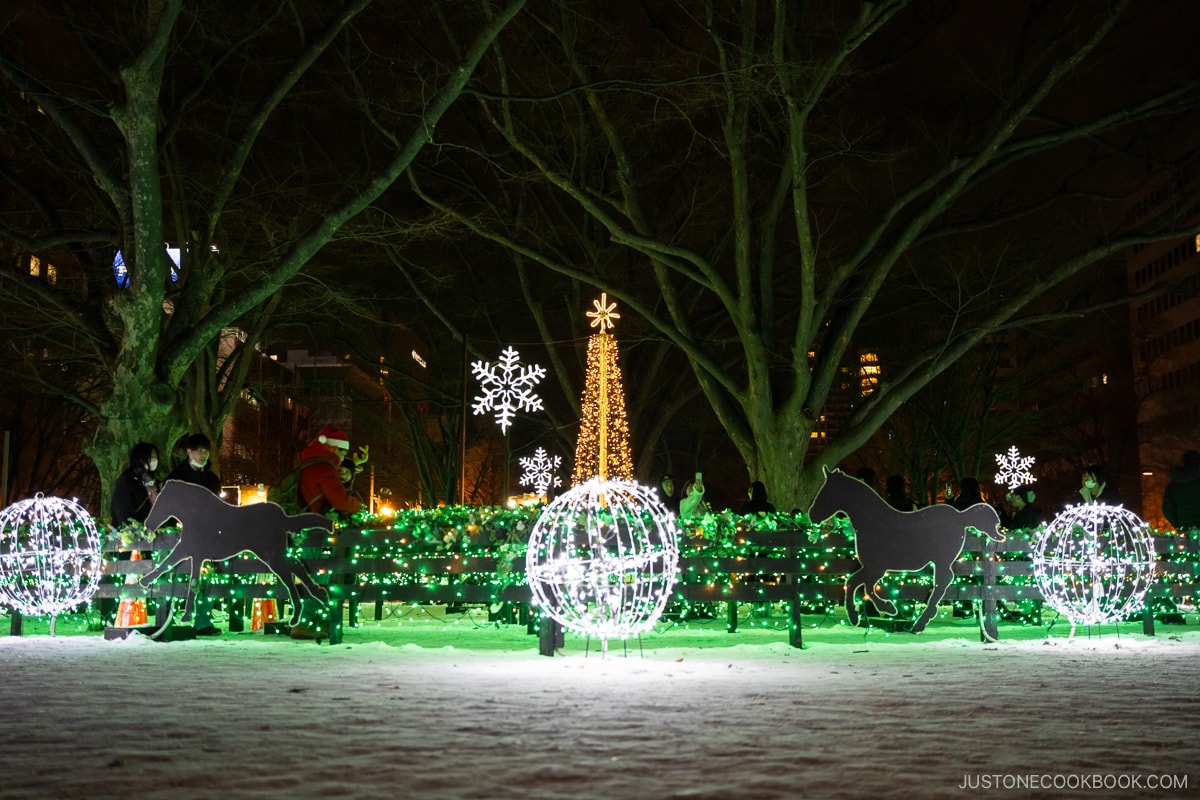 Winter Illuminations at Odori Park