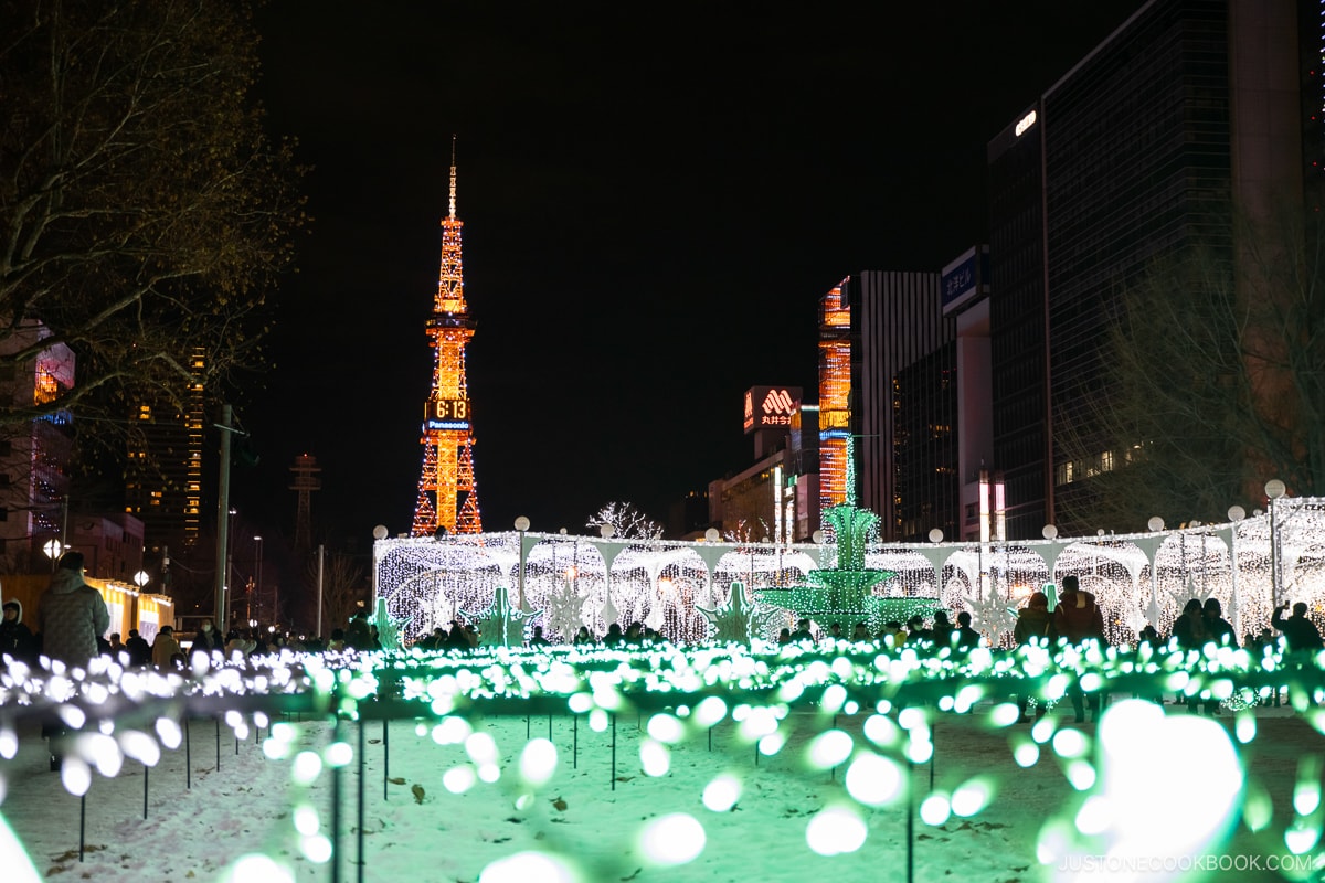 Winter Illuminations at Odori Park with Sapporo TV Tower in the background