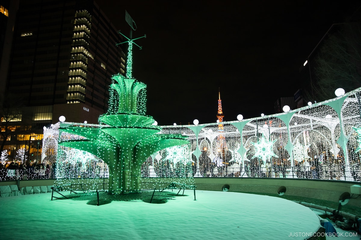 Winter fountain Illuminations at Odori Park with Sapporo TV Tower in the background