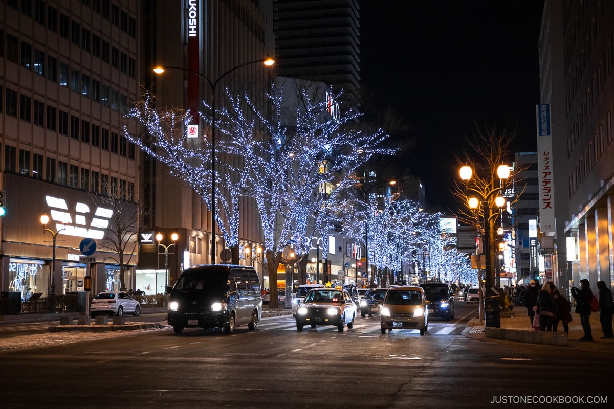 Sapporo streets lined with illuminations