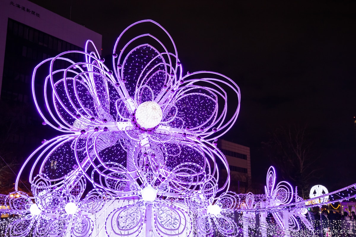 Purple flower winter illumination in Odori Park, Sapporo