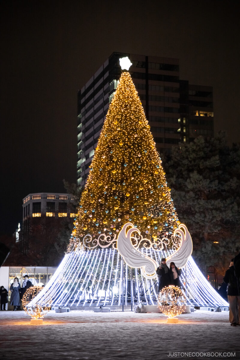 Christmas Tree illumination in Odori Park in Sapporo