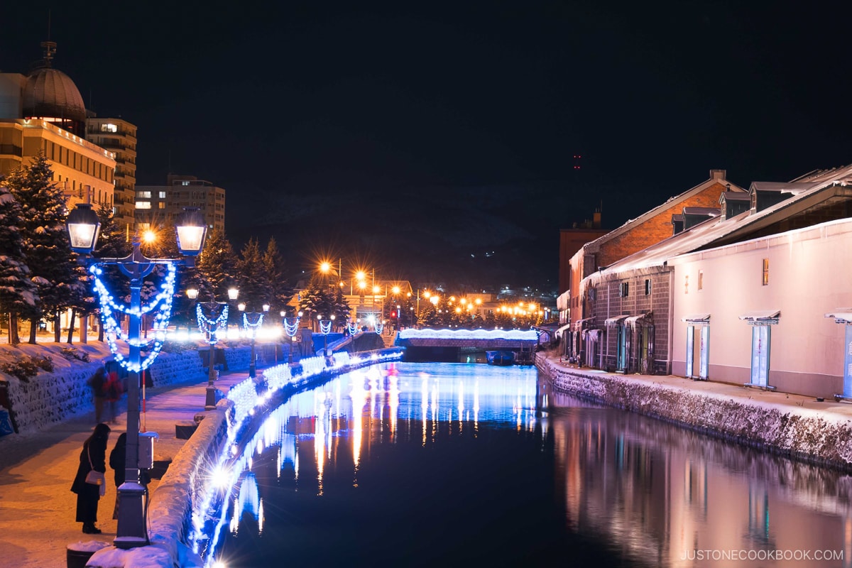 Otaru canal at night in winter