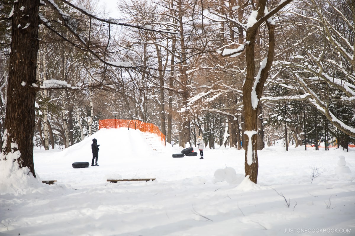 Maruyama Park in winter