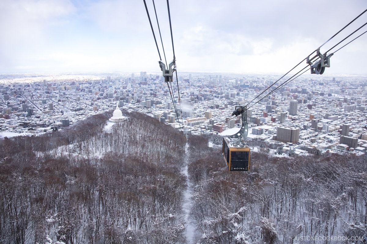 Mt Moiwa Ropeway ovelrooking Sapporo