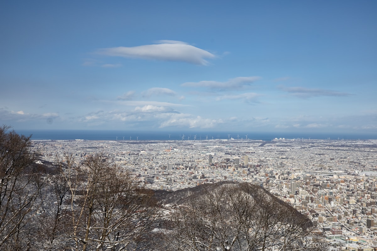 View from Mt Moiwa overlooking Sapporo and Ishikari Bay