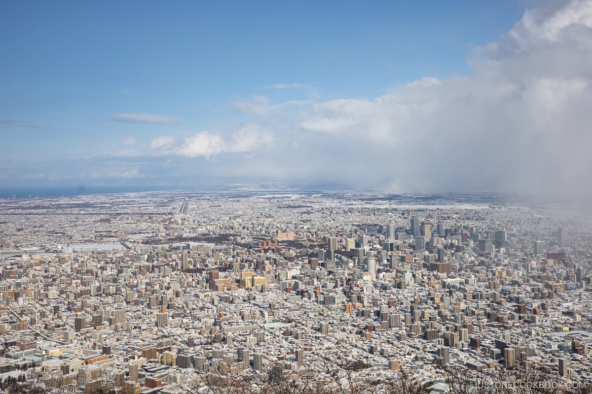 View from Mt Moiwa overlooking Sapporo and Ishikari Bay