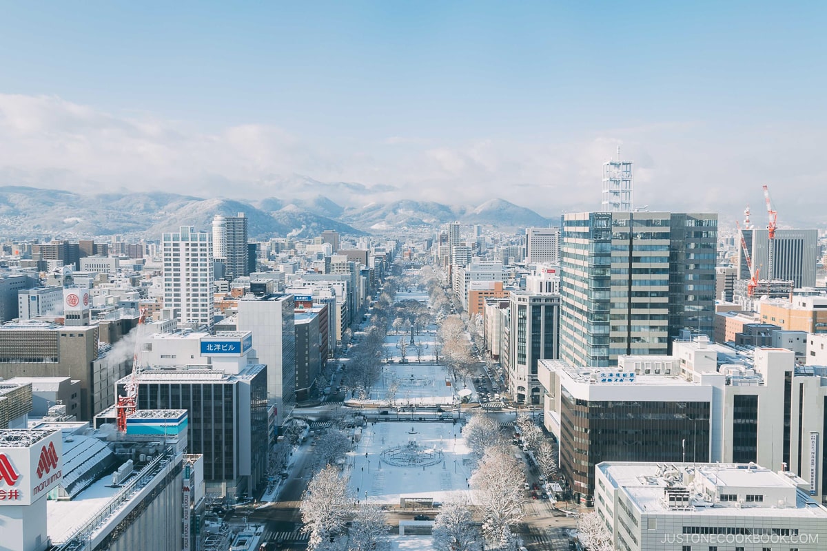 View from Sapporo TV Tower looking down Odori Park