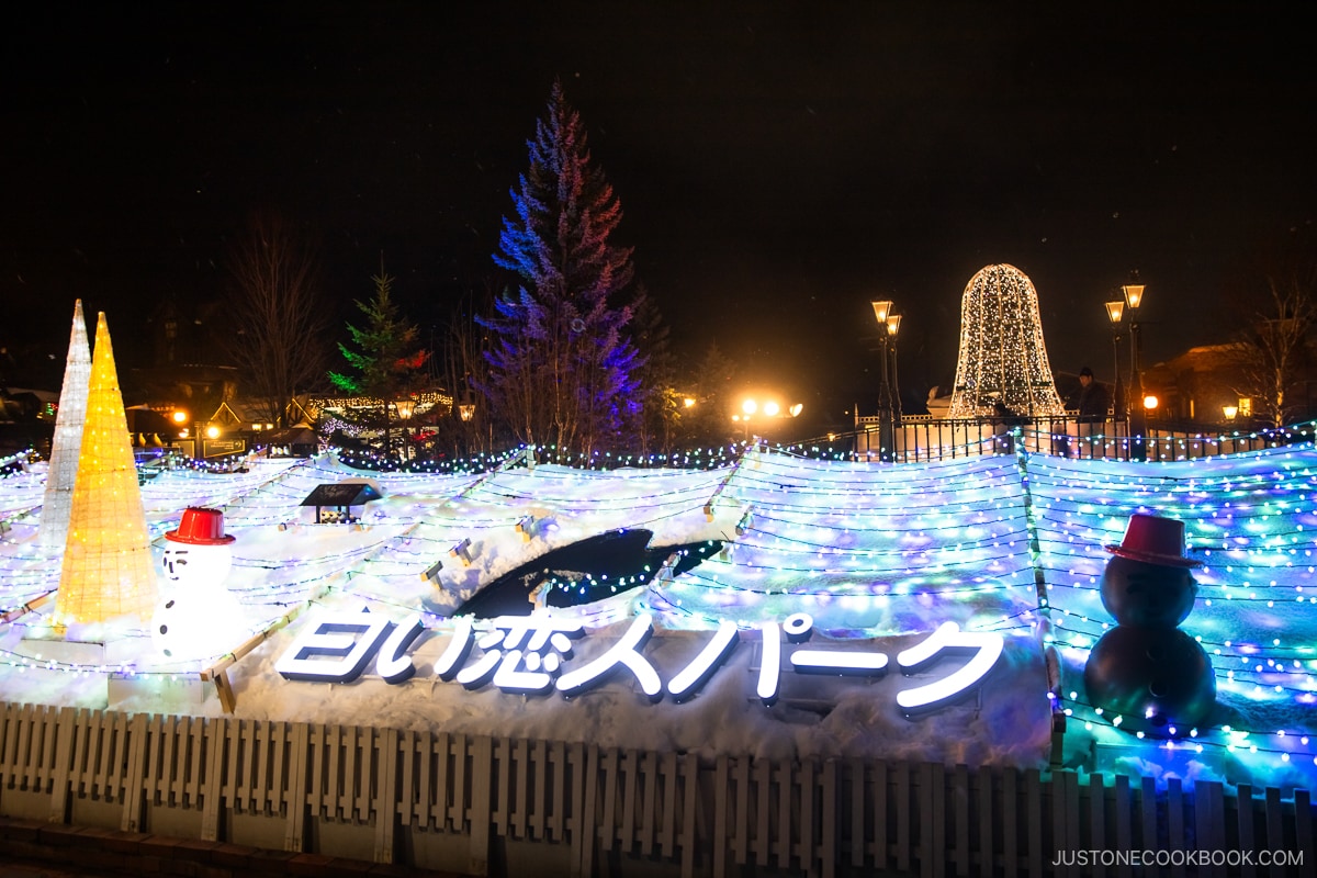 Shiroi Koibito Park illuminations