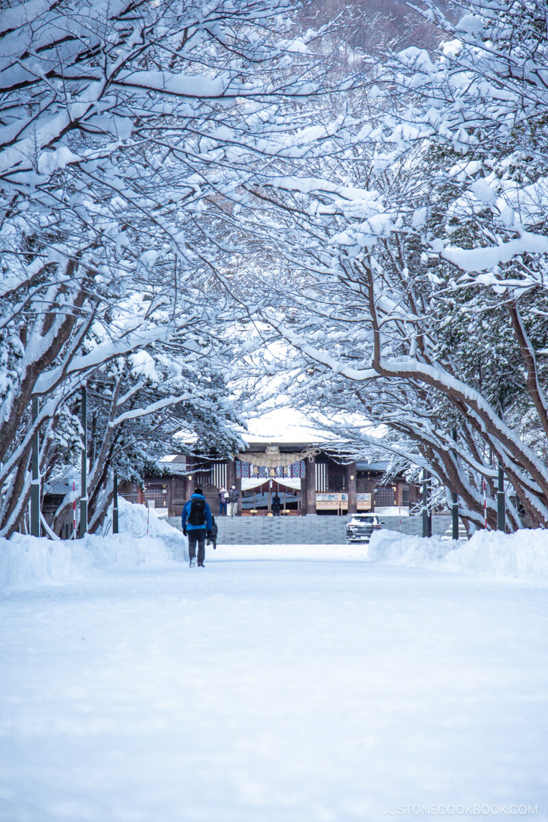 Person walking towards Hokkaido Jingu in the snow