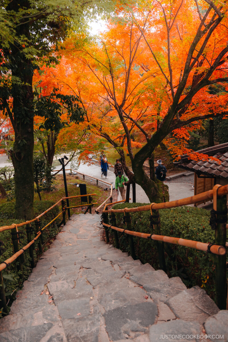 Stone staircase lined with orange autumn leaves