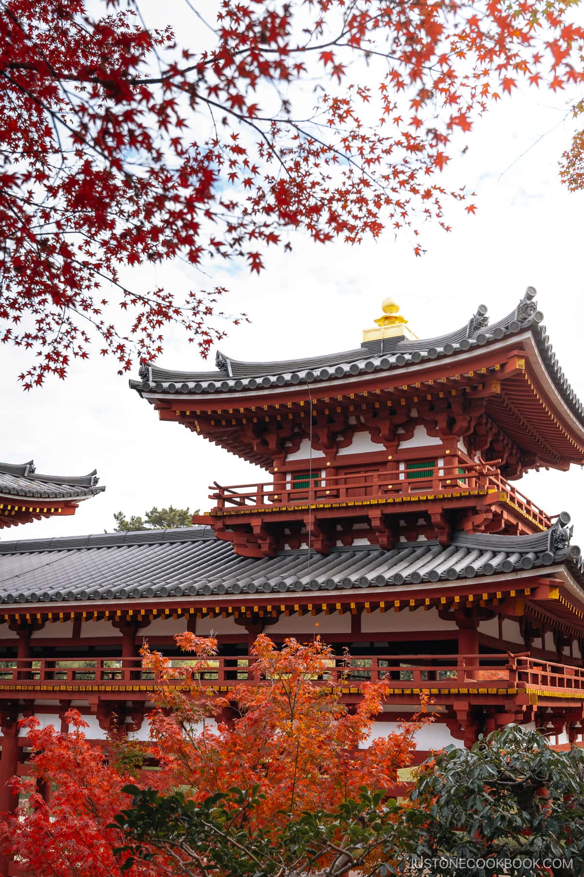 Temple detail surrounded by autumn leaves