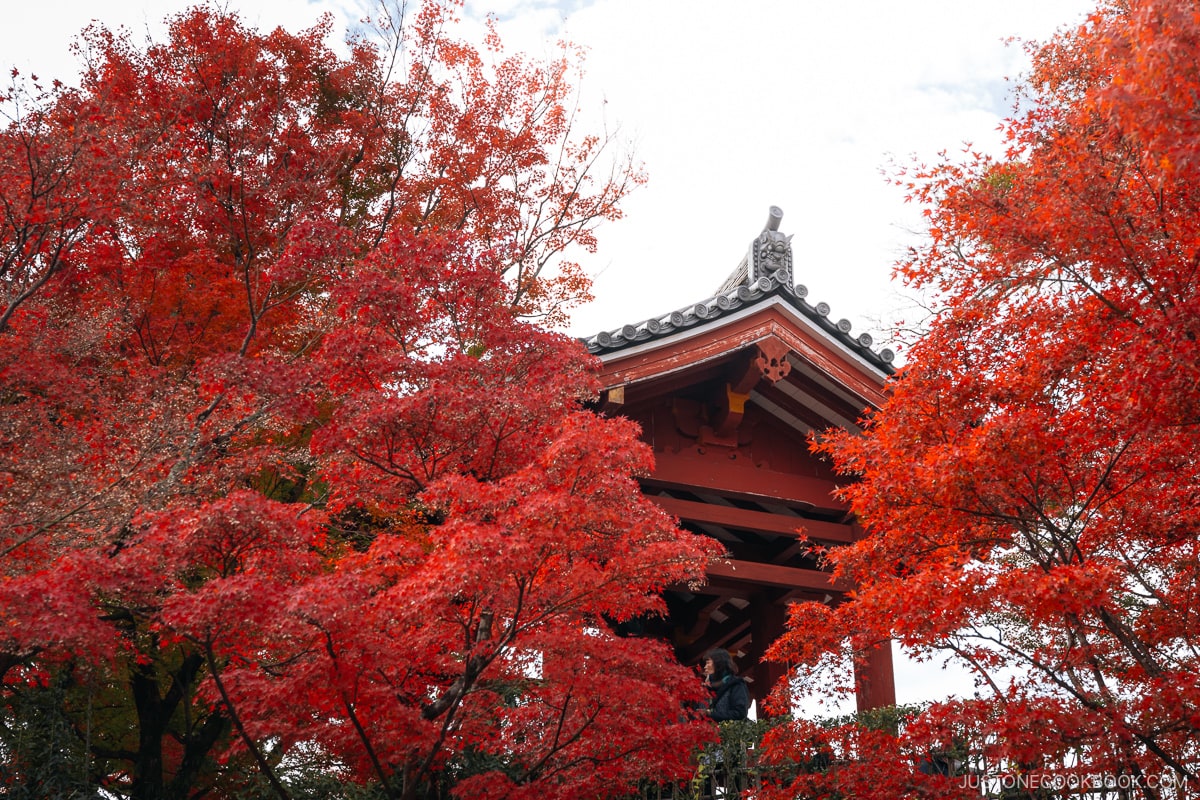 Temple roof surrounded by red maple leaves
