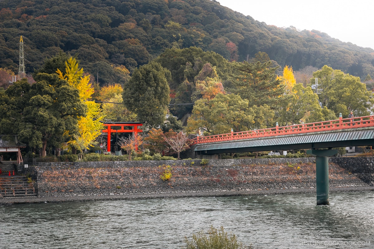 Red bridge running over a river with a red torii gate and autumn trees on the other side.