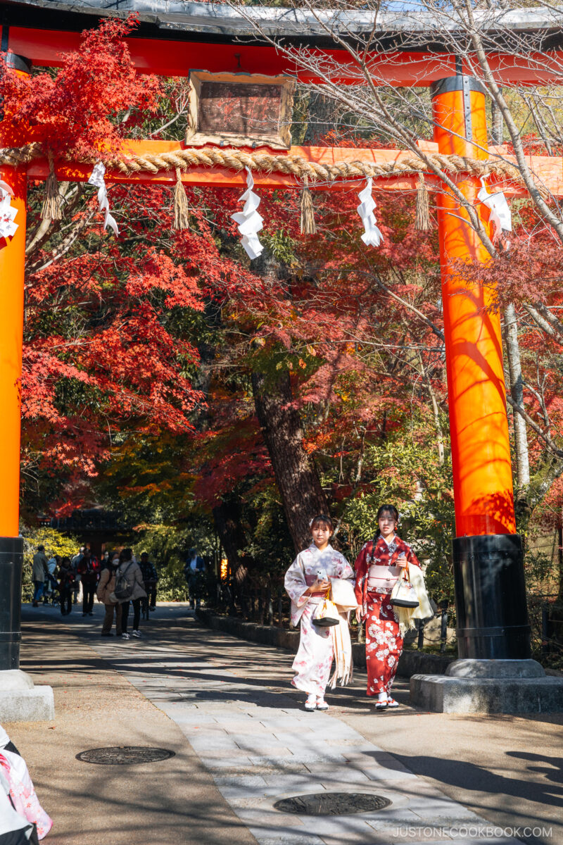 Two women wearing kimonos walking under a torii gate