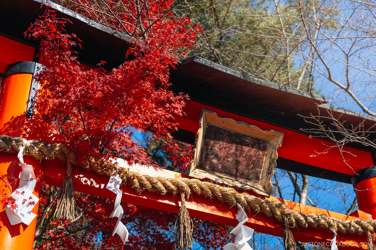 Torii gate entracne detail shot with red maple leaves